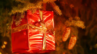 В Севастополе начали выдавать бесплатные новогодние подарки детям