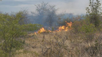 В Советском районе горела сухая трава 
