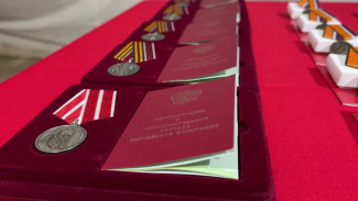 Добровольцы отряда «БАРС-33» группировки войск «Днепр» получили награды в Херсонской области