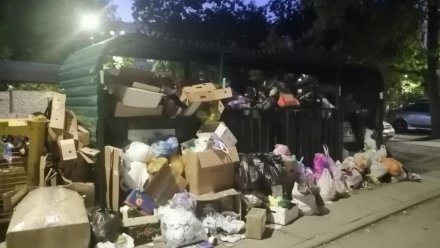 Прокуратура заинтересовалась ситуацией со складированием мусора на одной из улиц Симферополя