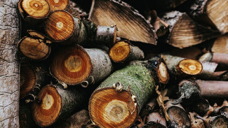 Как севастопольцам купить древесину, объясняют в Севприроднадзоре 