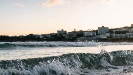  С момента крушения танкеров в Керченском проливе было очищено более 1,4 тысяч километров береговой линии