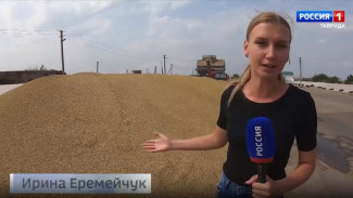 Крымские аграрии бьют рекорды: собрано более двух млн тонн зерновых и зернобобовых культур