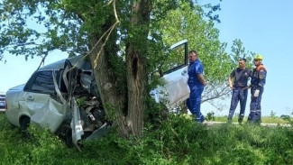 Водитель «Приоры» погиб от столкновения с деревом в Черноморском районе