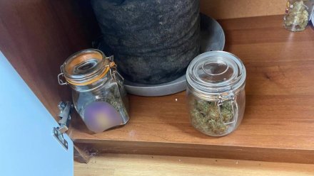 Крымчанин хранил у себя дома почти полкилограмма марихуаны