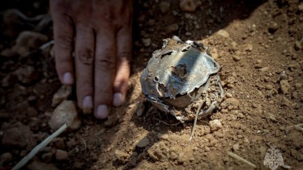 В Севастополе уничтожили взрывоопасный предмет и часть вражеского БпЛА