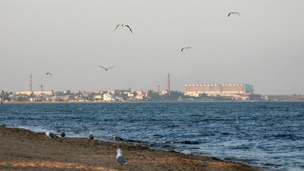 Крымский завод «Море» полностью загрузят заказами в 2022 году
