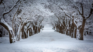 Когда в Крыму выпадет снег: прогноз учёных