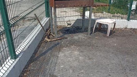 В Ялте вандалы разгромили новую детскую площадку