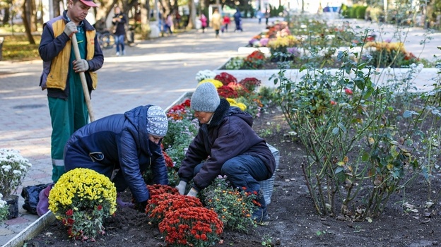 В Симферопольском Детском парке высадили хризантемы 