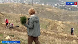  В Крыму проходит Всероссийская акция «Сохраним лес»