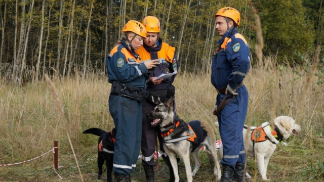 Более 40 спасателей искали женщину в лесу под Феодосией