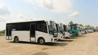 Новые автобусы выйдут на маршруты в Красногвардейском районе