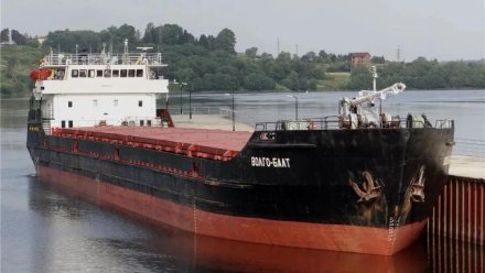 В Азовском море затонул сухогруз с пшеницей: есть погибший и пропавшие без вести