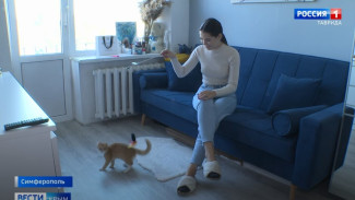 ВЕСТИ-КРЫМ: выпуск 13.09.2021 17:00