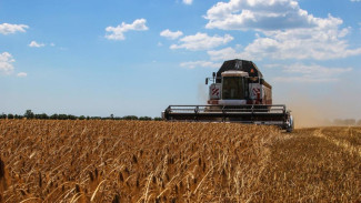 Крымские аграрии получили возможность продать до миллиона тонн зерна на внешних рынках по квоте