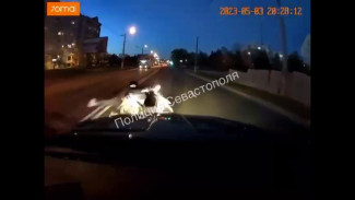 В Севастополе водитель мопеда протаранил две иномарки