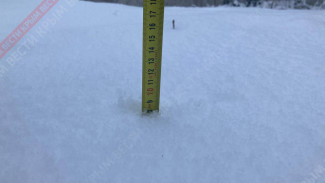 В Симферополе за ночь выпало 8 сантиметров снега