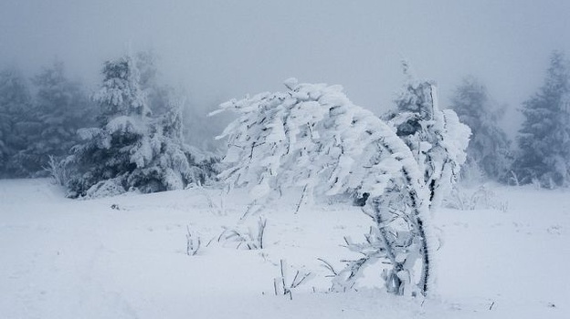 Сильный ветер и снег накроют Крым на выходных