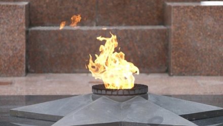 Частицы вечного огня доставлены в Волгоград