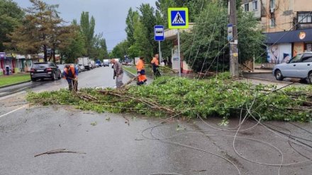 Автовладельцев в Симферополе призвали оставаться дома
