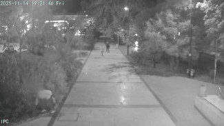 В Ялте неизвестные похитили 40 виол с городской клумбы на площади Советской