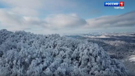 В Крыму объявили штормовое предупреждение на два дня из-за снега и урагана