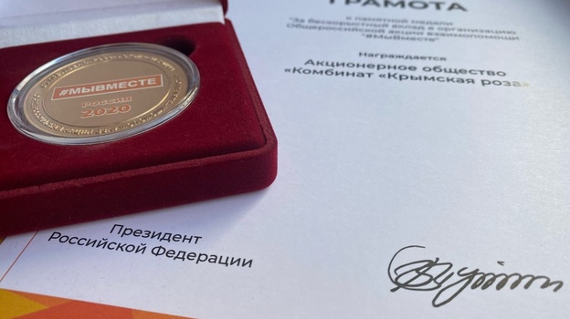 Крымские волонтёры получили президентские награды
