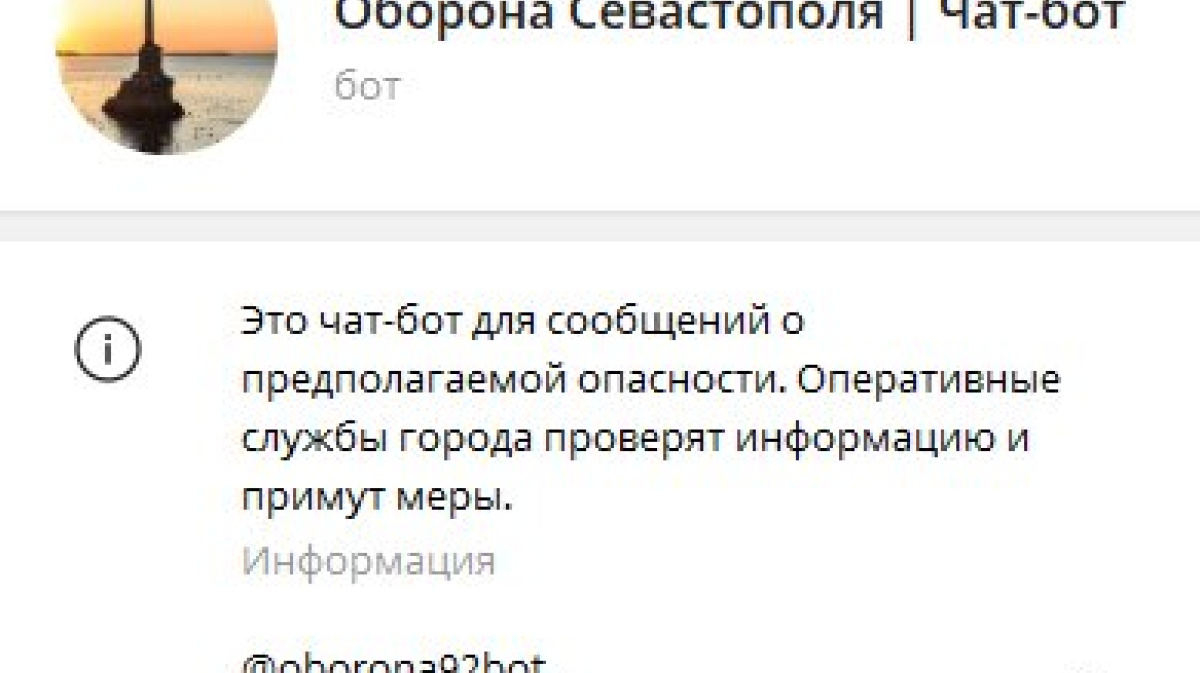 Боты в телеграмме севастополь. Чат Севастополь. Чат Севастополь телеграмм. Фото для бота в телеграм. Чат с известными личностями.