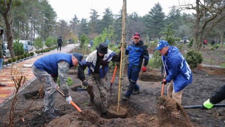 Константинов посадил в Крыму «дерево жизни»