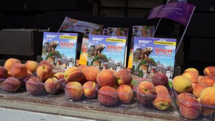 На Крымском мосту туристов угощали персиками