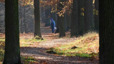 С 30 июня в Ялтинском заповеднике установили запрет на посещение некоторых туристических маршрутов
