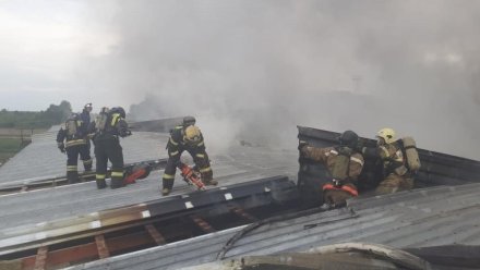 Пятиэтажный дом загорелся в Севастополе