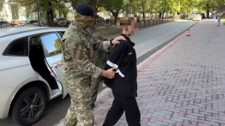 Жительницу Ялты приговорили к 17 годам колонии за госизмену