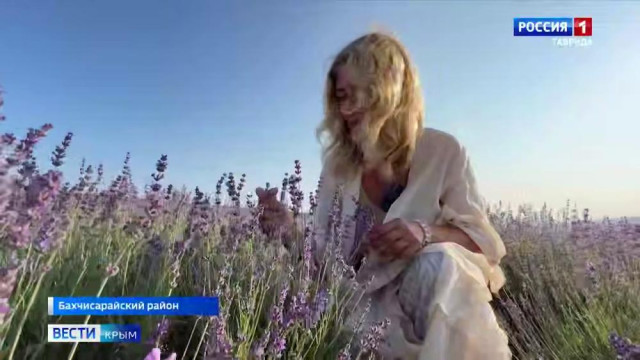  В Тургеневской долине в Бахчисарайском районе зацвело самое большое поле лаванды в Европе.