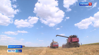 Ливни помешали вовремя убрать урожай в Крыму