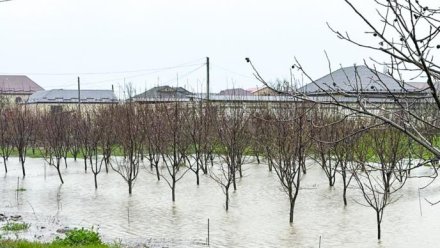 Детей из подтопленных районов Дагестана направят на отдых в федеральные центры Крыма