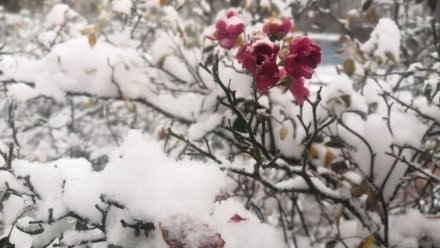 В Крыму обещают сильный снег и гололёд