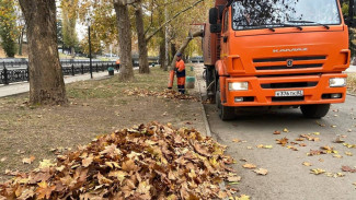 Более 200 кубометров листвы ежедневно собирают в Симферополе