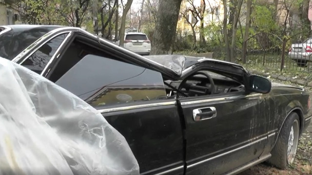 Эксклюзивный ретро-автомобиль пострадал в результате падения дерева в Крыму