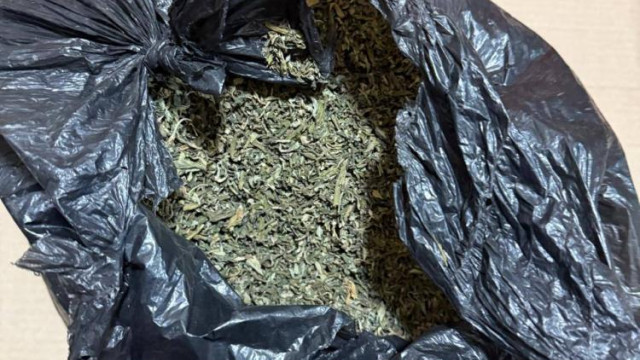 В Кировском районе осудили 30-летнюю женщину за хранение конопли