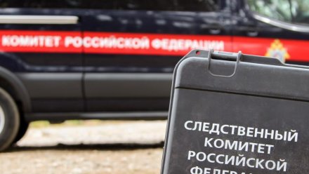 Аксёнов поздравил работников и ветеранов органов следствия с профессиональным праздником