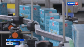 В Крыму будут выпускать ежемесячно тысячи тонн соды 