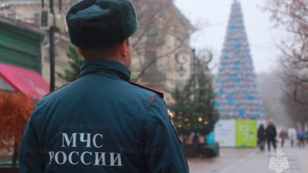 Более 2 000 спасателей обеспечат безопасность в Крыму новогодние праздники