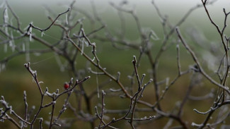 Синоптики прогнозируют похолодание в Крыму 