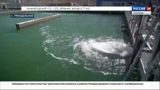  В селе Миндальное готовятся ввести в эксплуатацию очистные сооружения 