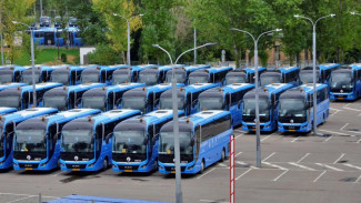 В Севастополе обновится автобусный парк