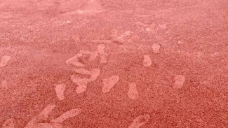 В Керчи вандалы повредили новое покрытие на спортивной площадке