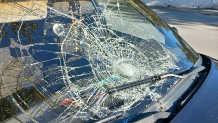 В Кировском районе осудили виновницу ДТП, в котором погиб пожилой пешеход 