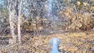 Российские дроноводы уничтожили технику, блиндаж и личный состав ВСУ в Запорожской области 